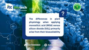 Enhancing Plant Resilience: MSA vs. SiO₂ in Agriculture