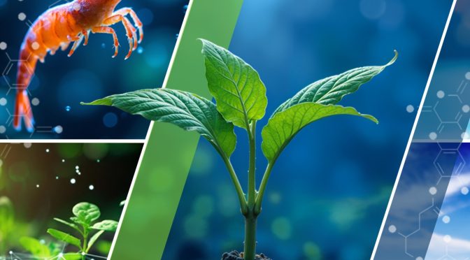 (العربية) كل ما تحتاج معرفته عن الشيتوزان وفوائده الزراعية