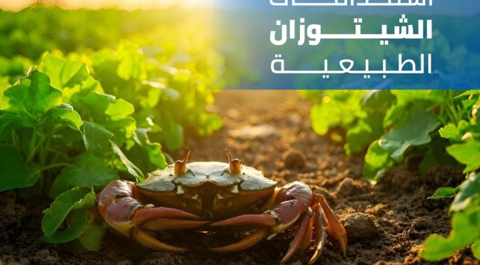 (العربية) استخدامات الشيتوزان الزراعية: بين تعزيز النمو وحماية المحاصيل