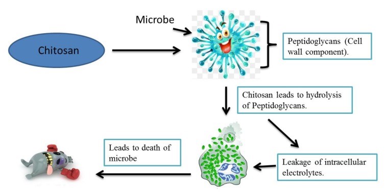 استخدامات الشيتوزان الزراعية