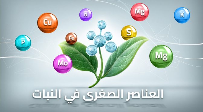 (العربية) العناصر الصغرى في النبات