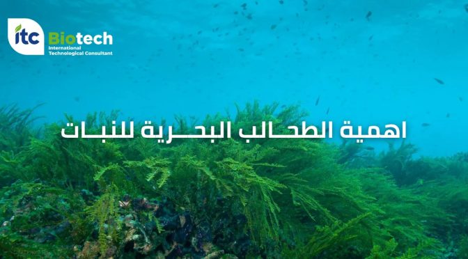 (العربية) اهمية الطحالب البحرية للنبات