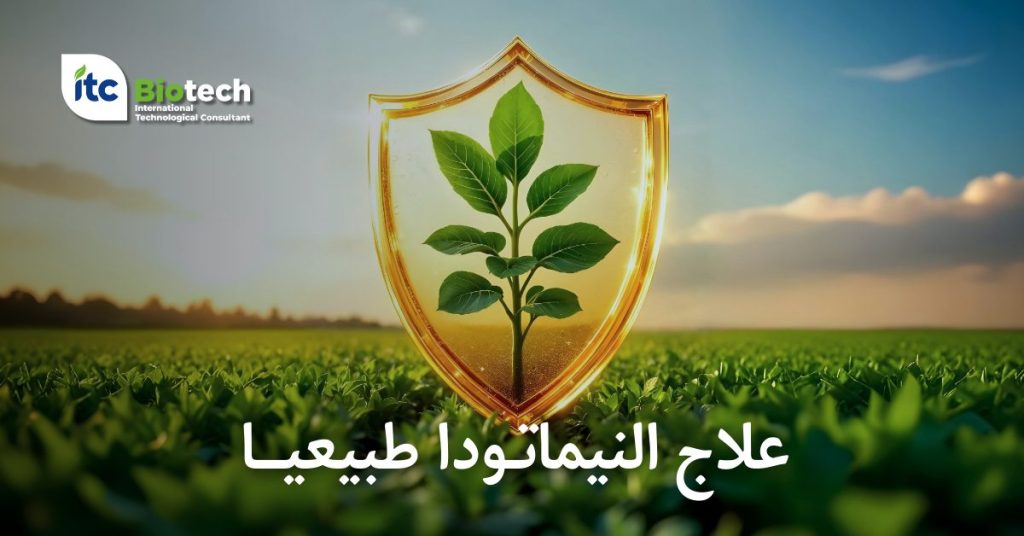 علاج النيماتودا طبيعيا
