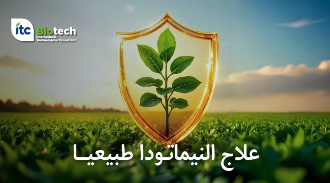 (العربية) علاج النيماتودا طبيعيا