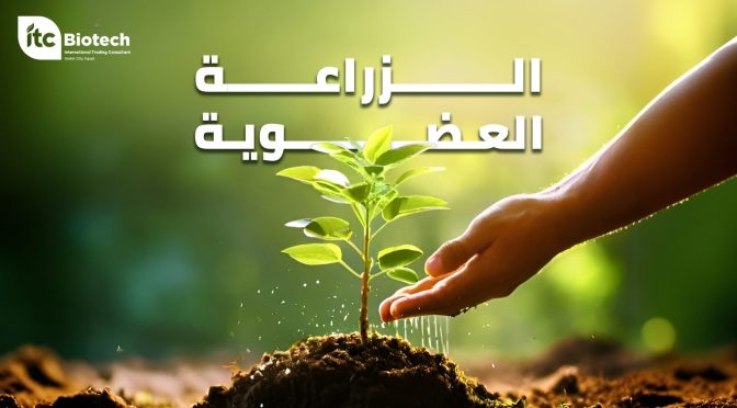 (العربية) الزراعة العضوية