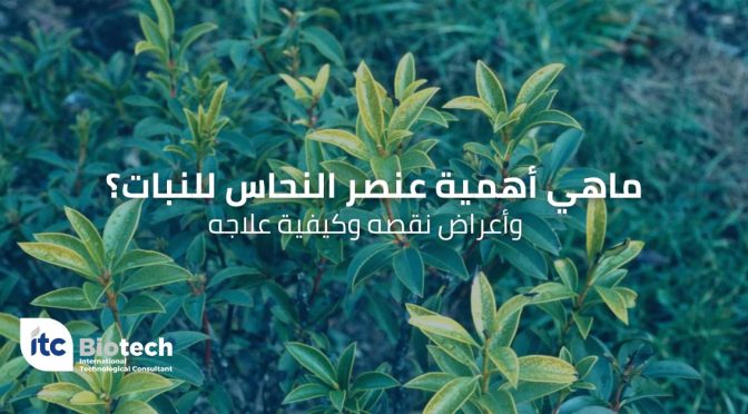 (العربية) استخدام الشيتوزان الزراعي على المحاصيل البستانية